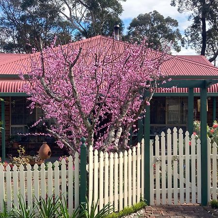 Blue Gum Cottage On Bay Bensville Exterior foto