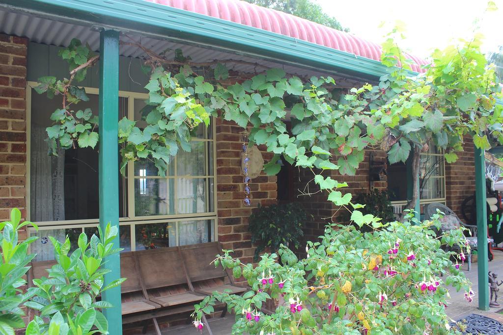 Blue Gum Cottage On Bay Bensville Quarto foto